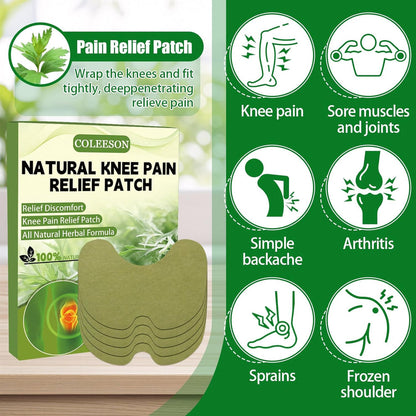 HealPatch™ - Natural Knee Pain Relief Patches
⭐⭐⭐⭐⭐ 37,572 Reviews