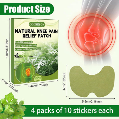 HealPatch™ - Natural Knee Pain Relief Patches
⭐⭐⭐⭐⭐ 37,572 Reviews